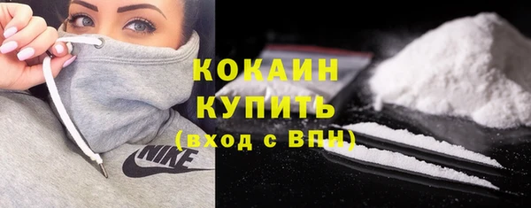 крисы Новодвинск