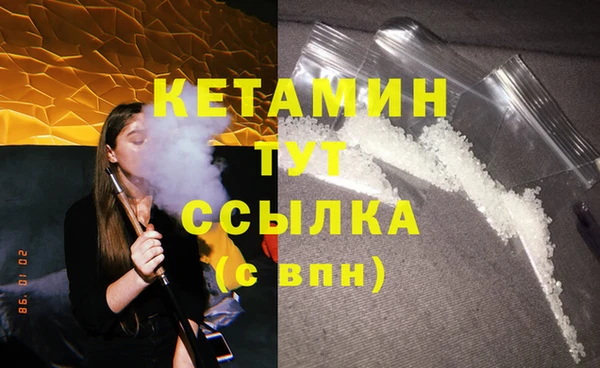 крисы Новодвинск