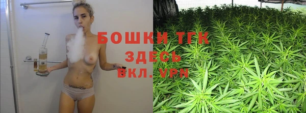 сатива Нягань