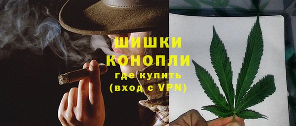 сатива Нягань