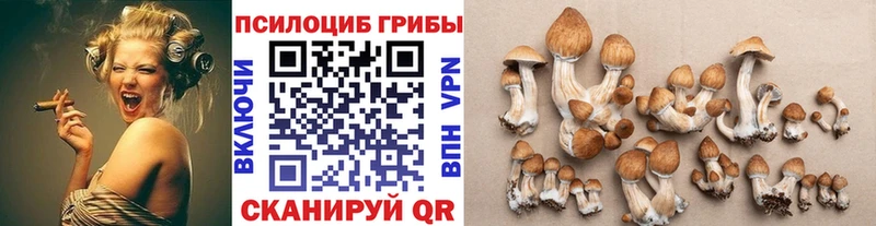 Галлюциногенные грибы MAGIC MUSHROOMS Демидов